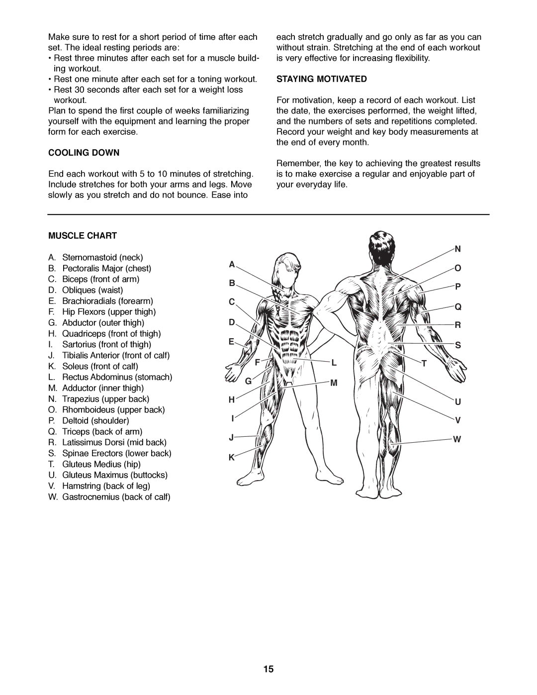 Weider WEBE19300 manual Cooling Down, Staying Motivated, Muscle Chart 