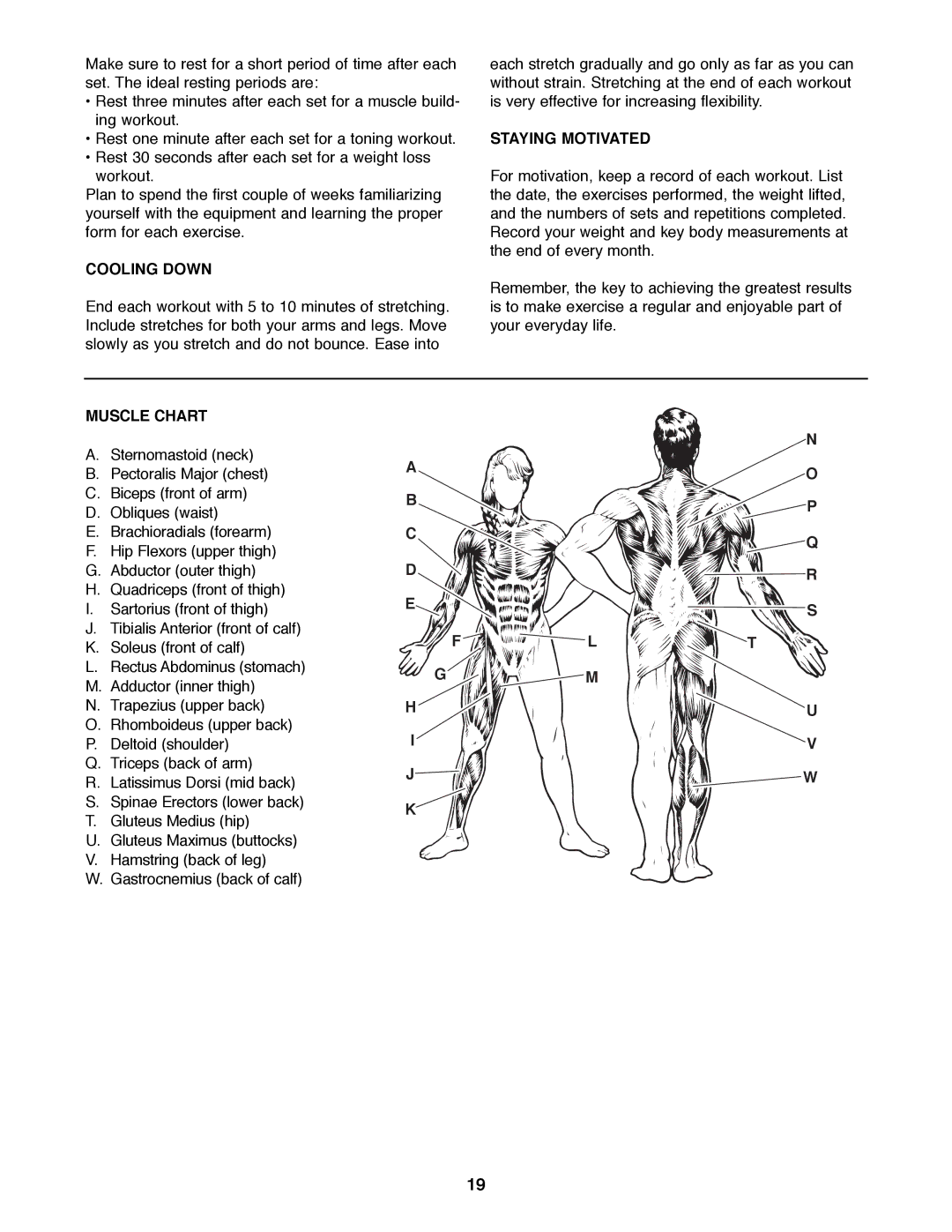 Weider WEBE29300 manual Cooling Down, Staying Motivated, Muscle Chart 