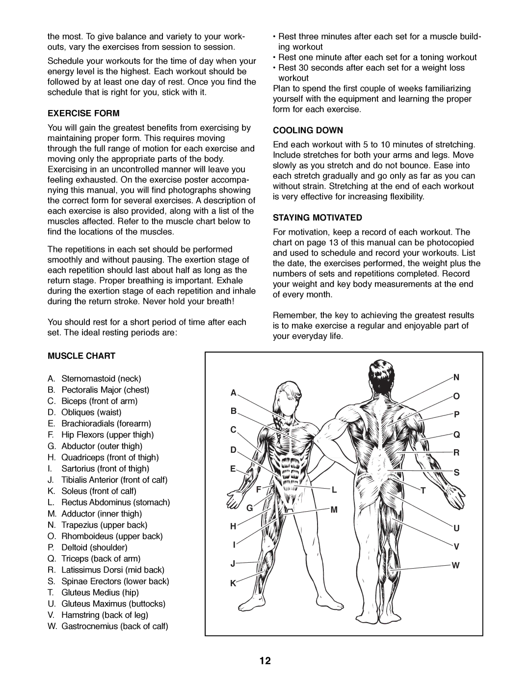 Weider WEBE36790 manual Exercise Form, Cooling Down, Staying Motivated, Muscle Chart 