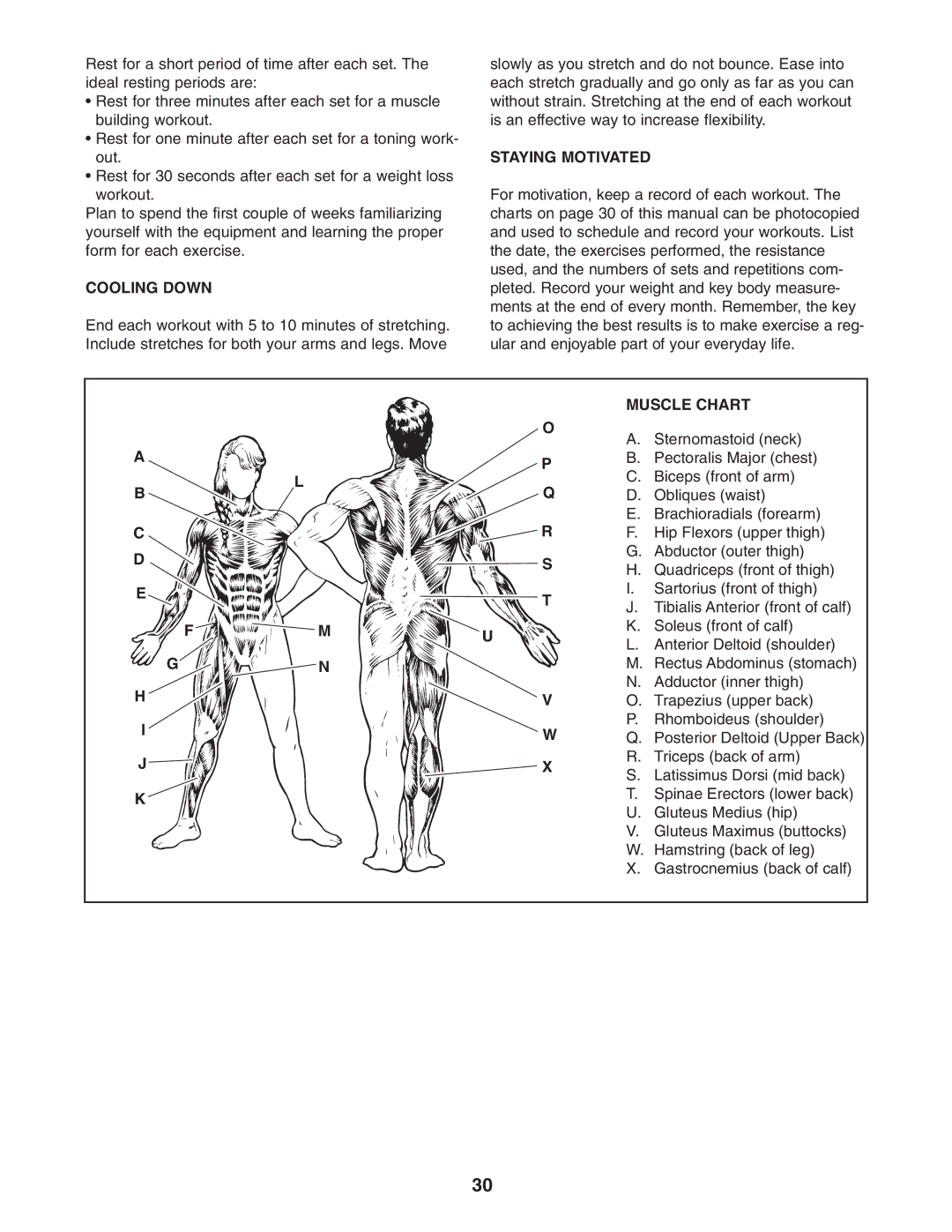 Weider WEBE4496.0 user manual Cooling Down, Staying Motivated, Muscle Chart 