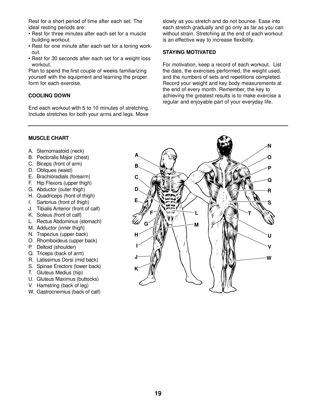 Weider WESY09320 user manual Cooling Down, Staying Motivated, Muscle Chart 