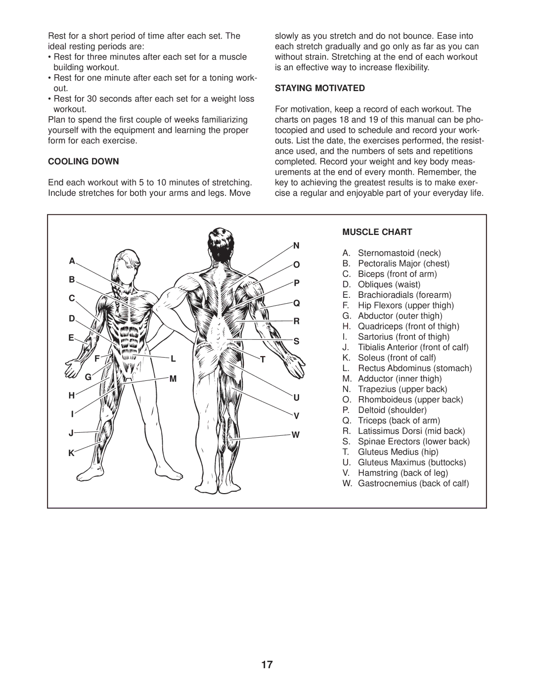 Weider WESY38730 user manual Cooling Down, Staying Motivated, Muscle Chart 