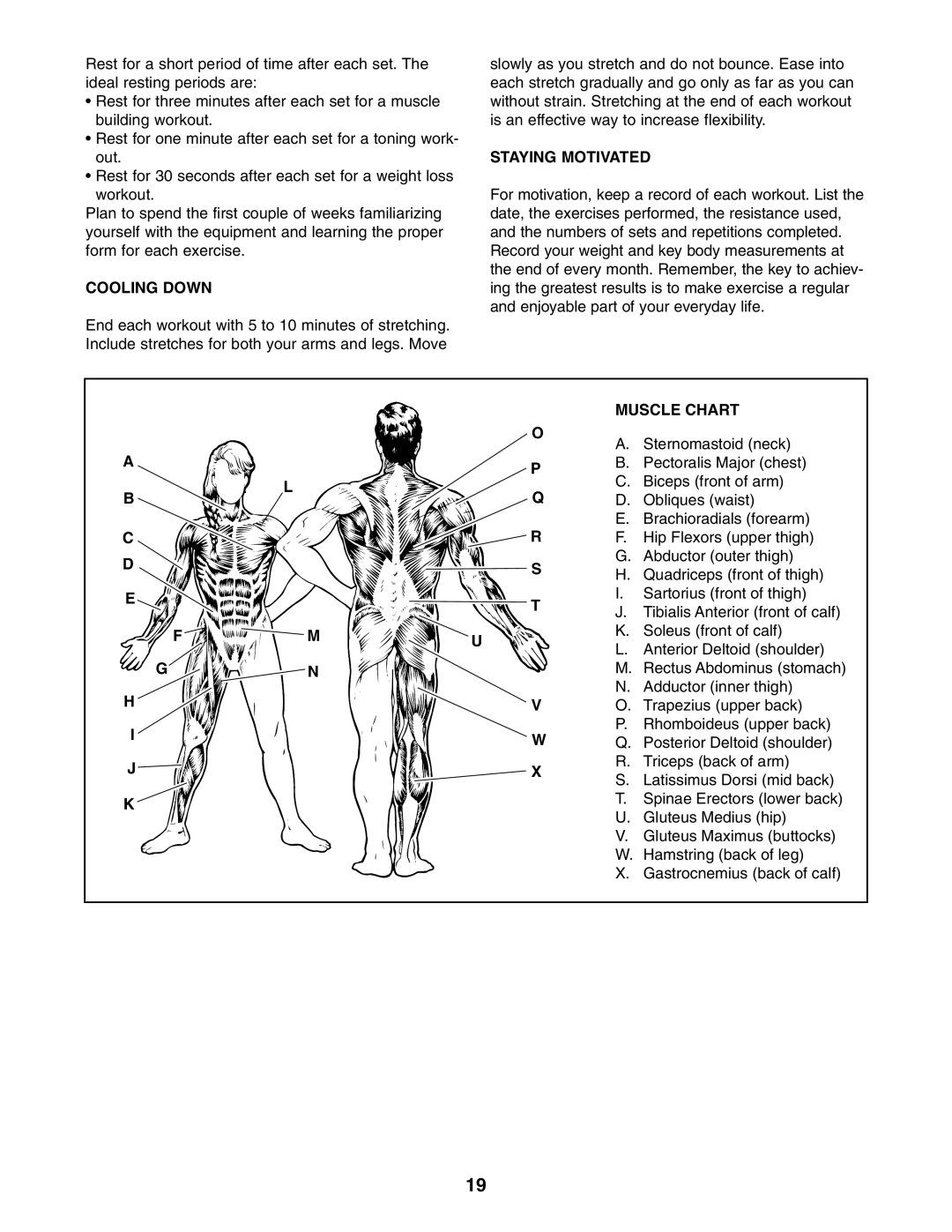 Weider WESY5984.1 user manual Cooling Down, Staying Motivated, Muscle Chart 