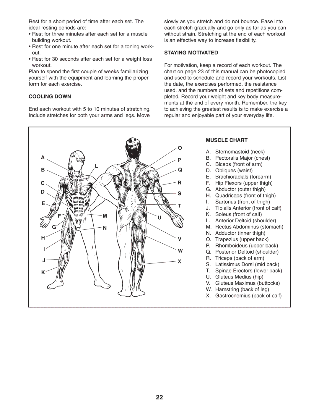 Weider WESY78732 user manual Cooling Down, Staying Motivated, Muscle Chart 