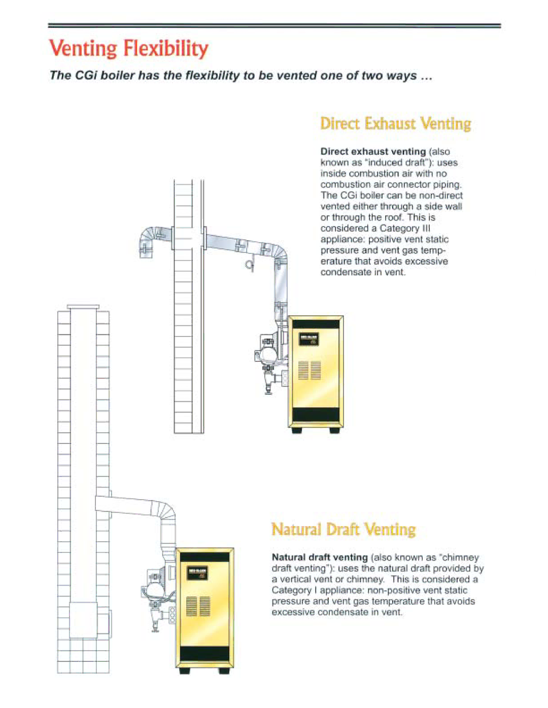 Weil-McLain CGi Series 2 manual 