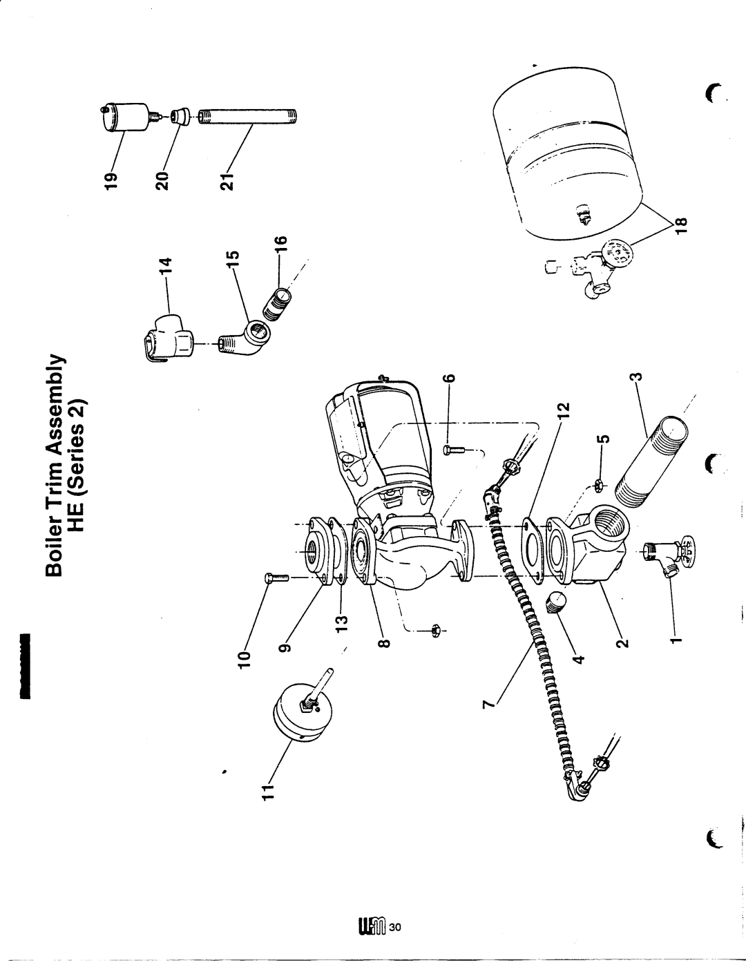 Weil-McLain HE (Series 2) manual 