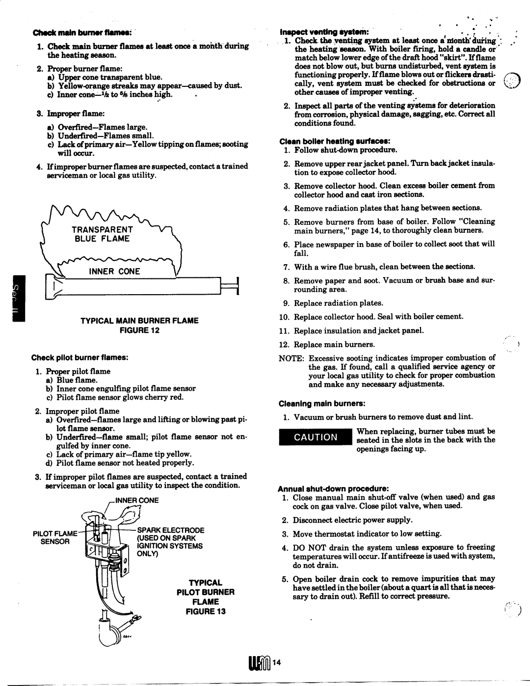 Weil-McLain P-CG, CGM (Series 10) manual 