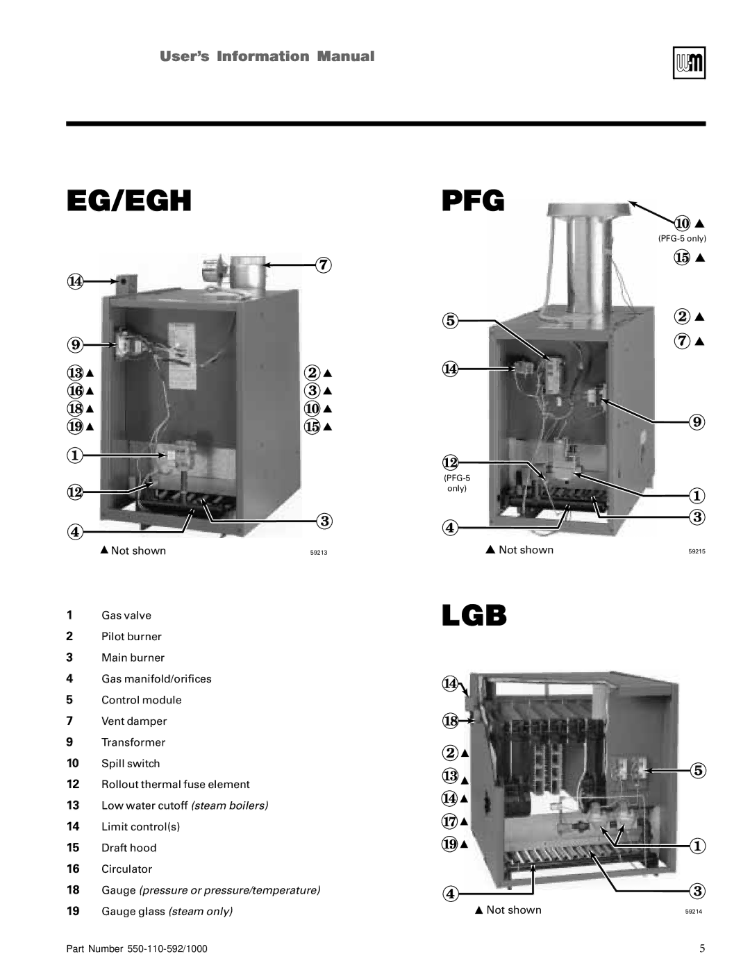 Weil-McLain EGH, PFG, PEG, CGs, CGi, LGB manual Lgb 