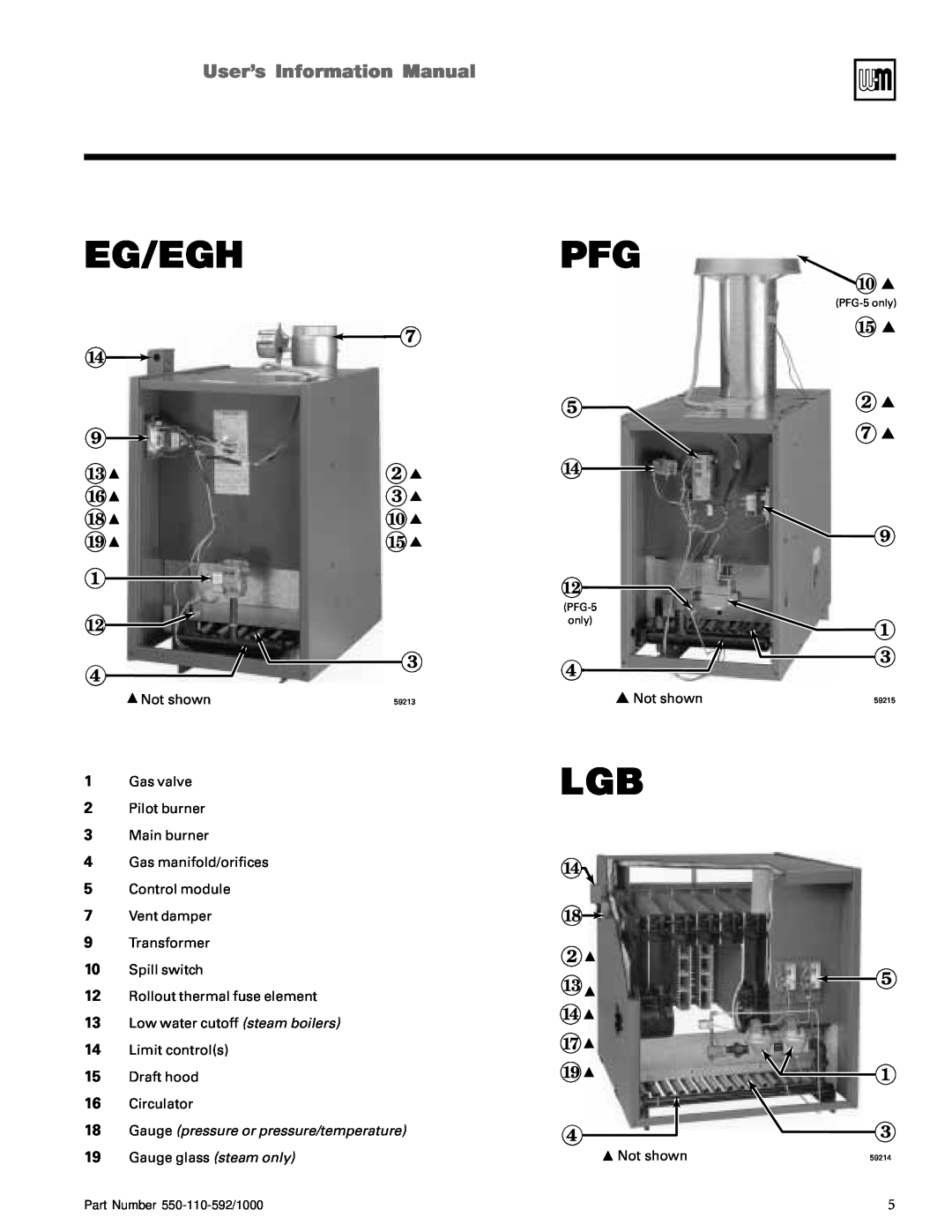 Weil-McLain PFG, PEG, CGs, CGi, LGB manual EG/EGHUserísInformationManual, 18Gauge pressure or pressure/temperature 