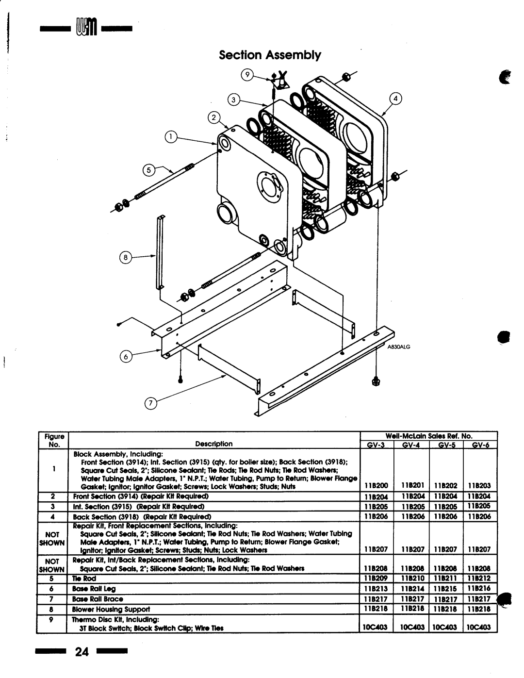 Weil-McLain Series 1 Boiler manual 