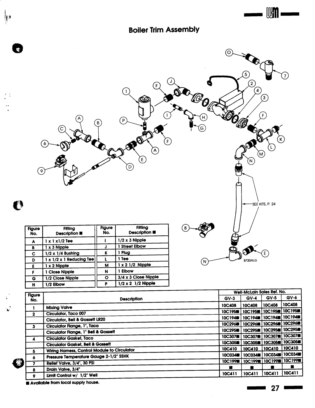 Weil-McLain Series 1 Boiler manual 