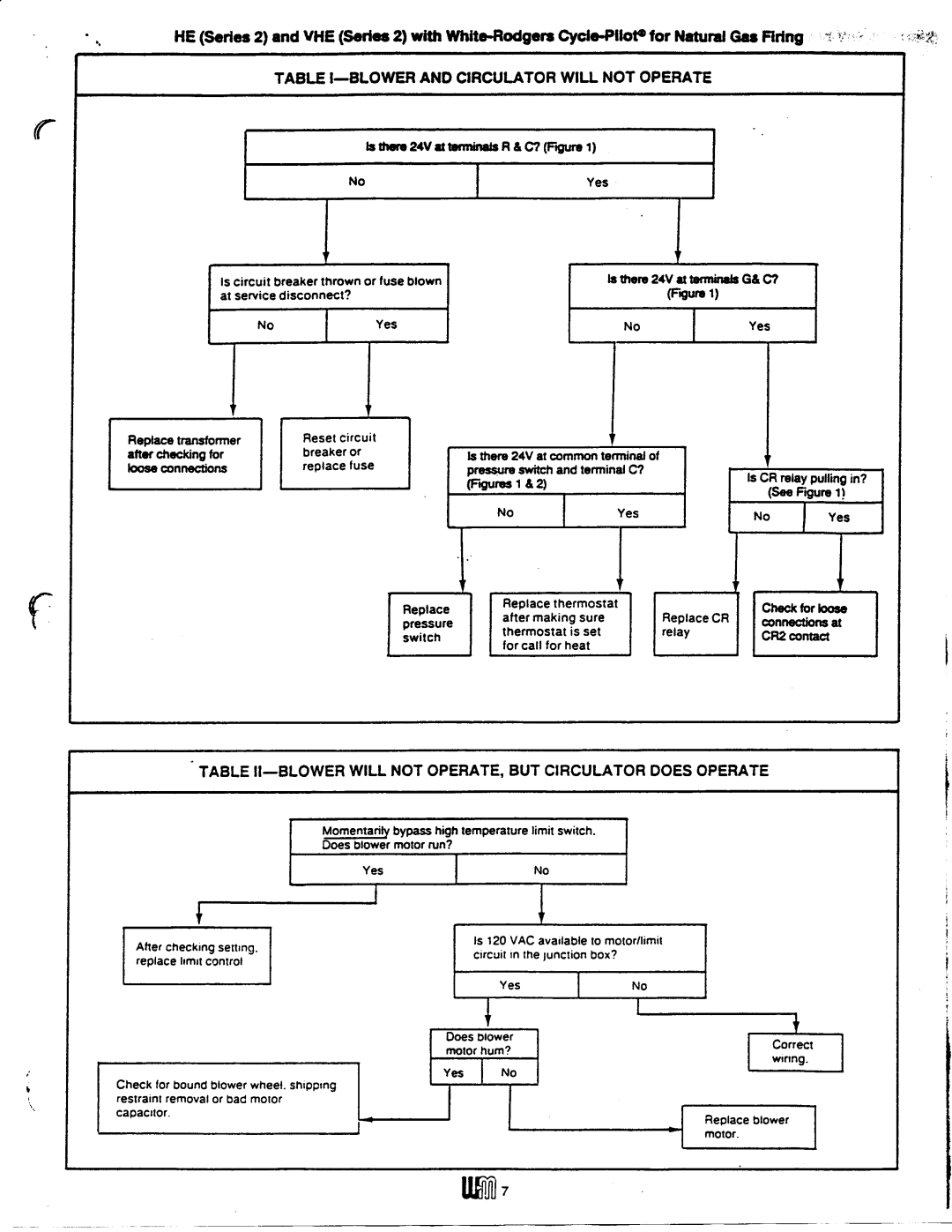 Weil-McLain VHE (Series 2) manual 