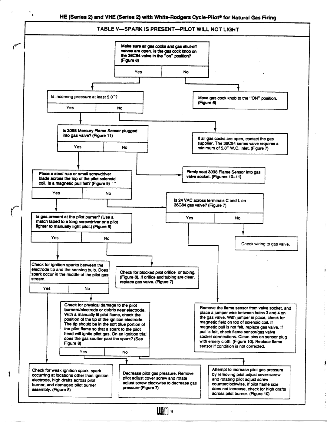 Weil-McLain VHE (Series 2) manual 