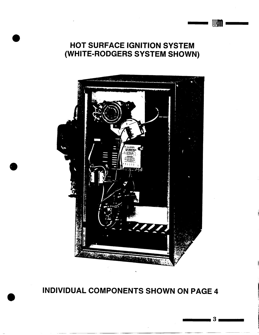 Weil-McLain VHE Series 3 manual 