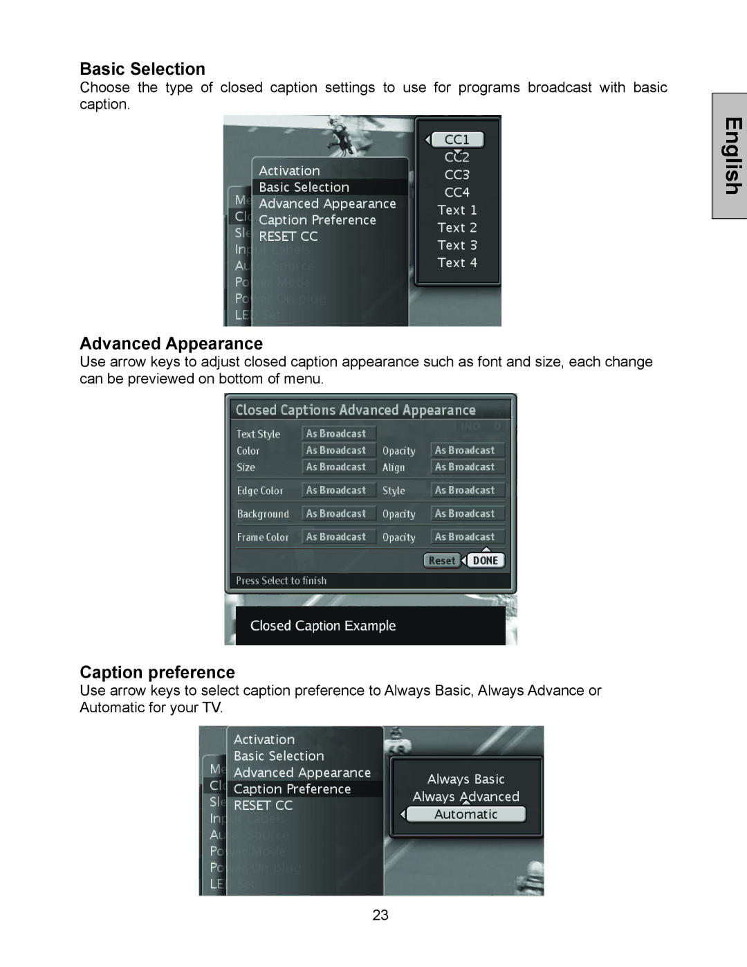 Westinghouse W3213 HD manual Basic Selection, Advanced Appearance, Caption preference 