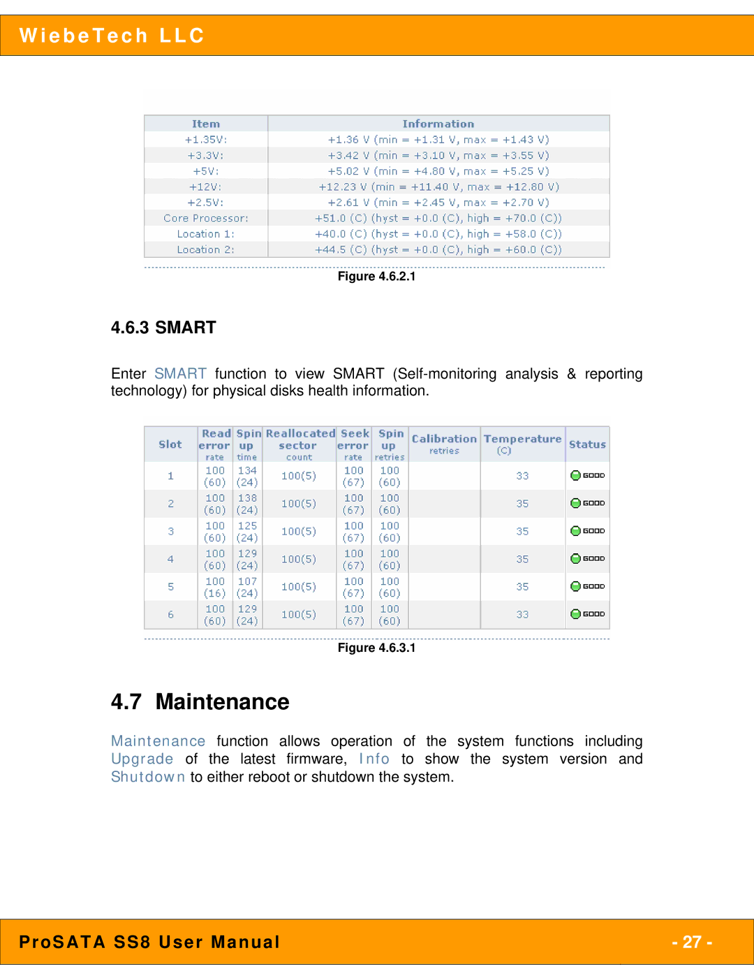 WiebeTech SS8 user manual Maintenance, Smart 