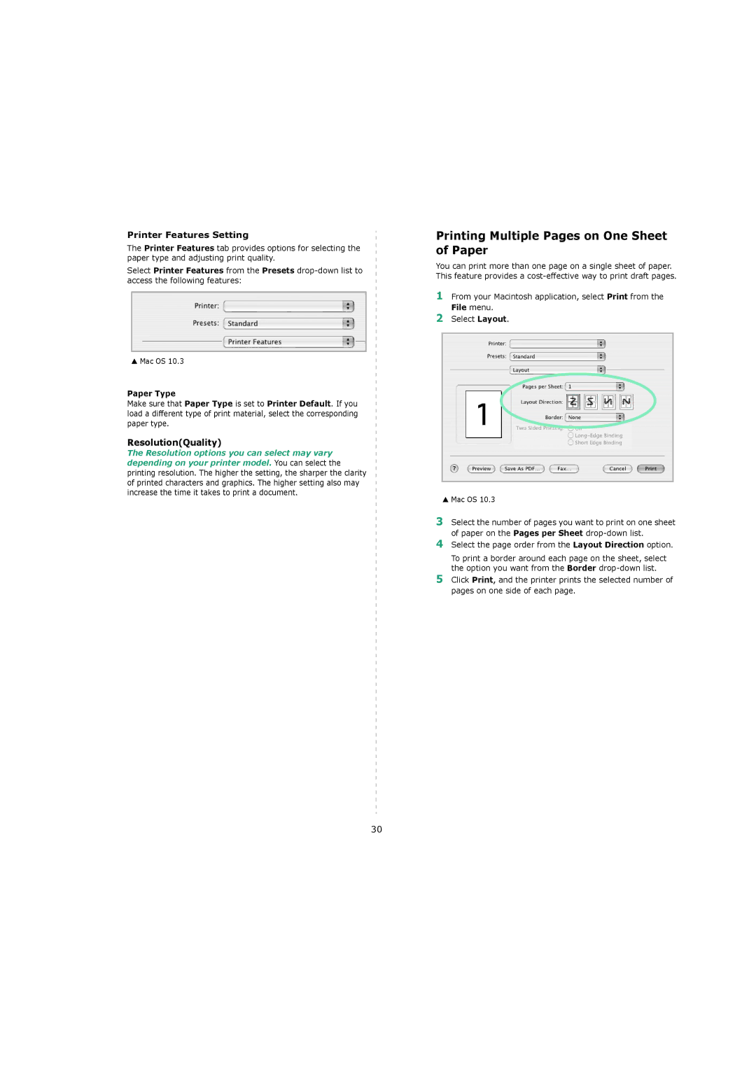 Xerox 3119 manual Printing Multiple Pages on One Sheet of Paper, Printer Features Setting, ResolutionQuality 