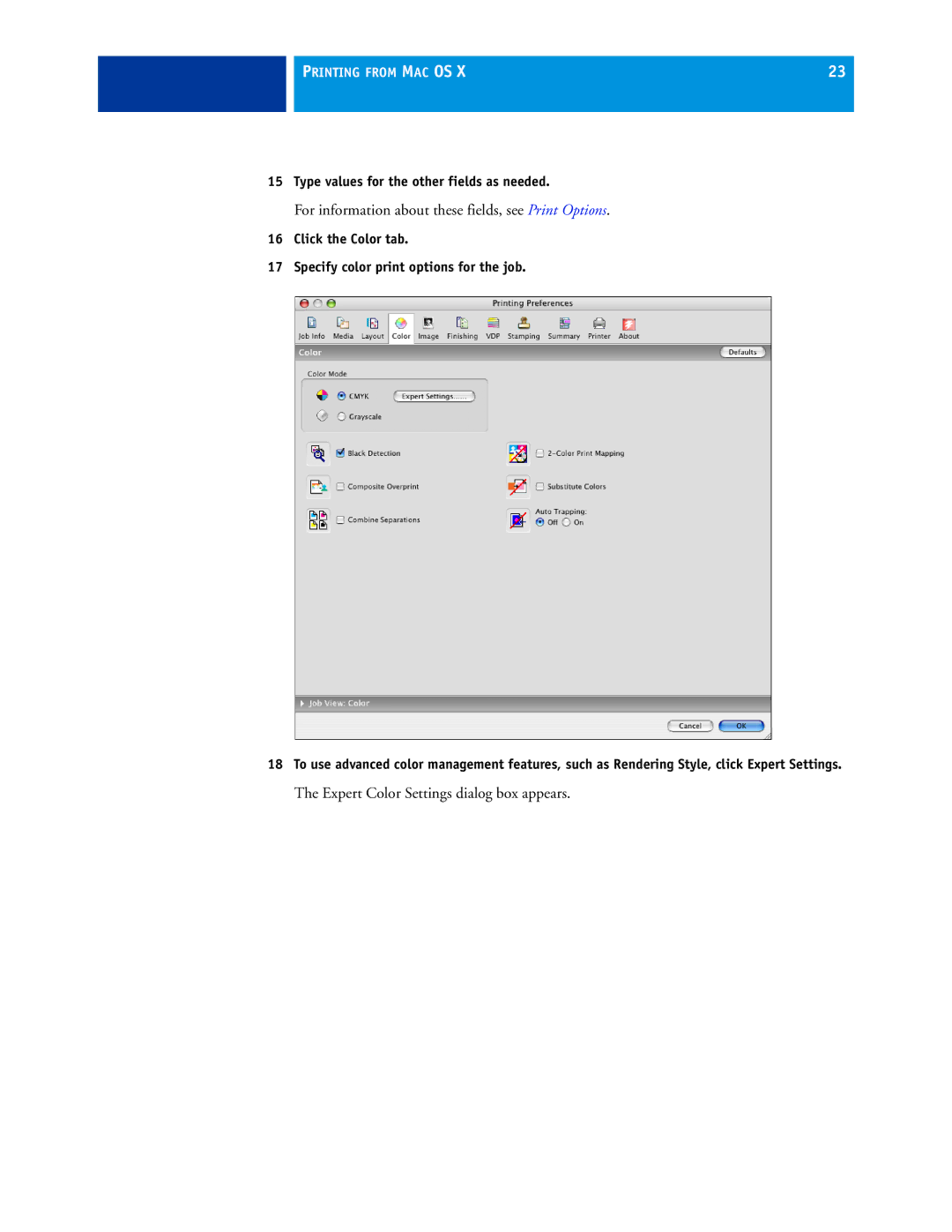 Xerox 45069888 manual For information about these fields, see Print Options, Expert Color Settings dialog box appears 