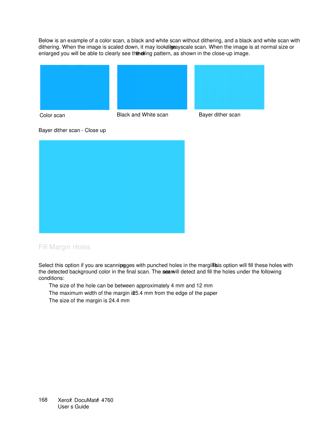 Xerox 4760 manual Fill Margin Holes, Bayer dither scan Close up 