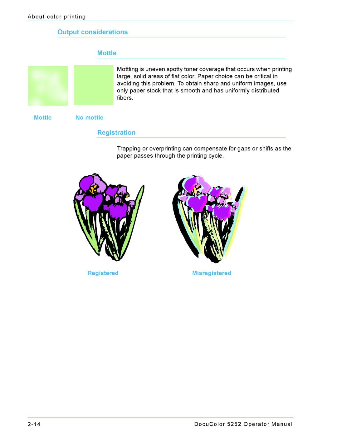 Xerox 5252 manual Output considerations Mottle 