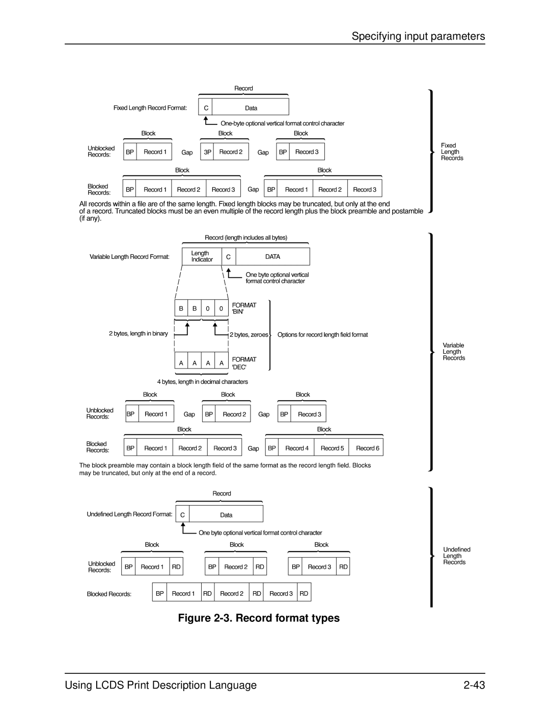 Xerox 701P21091 manual Record format types 