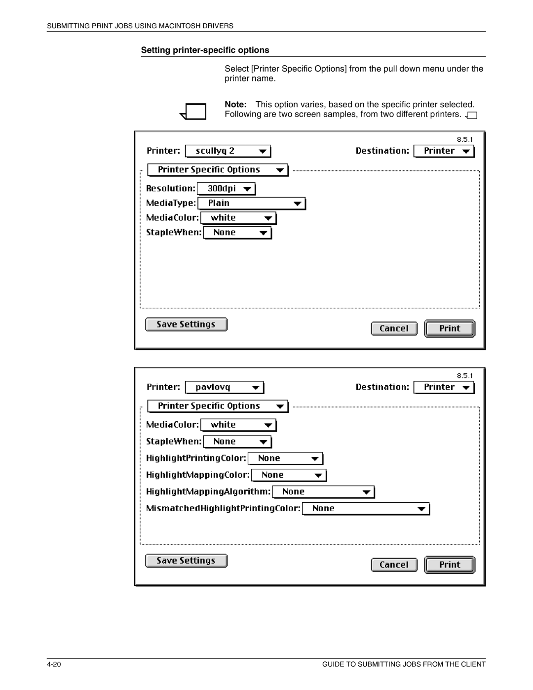 Xerox 721P87481 manual Setting printer-specific options 