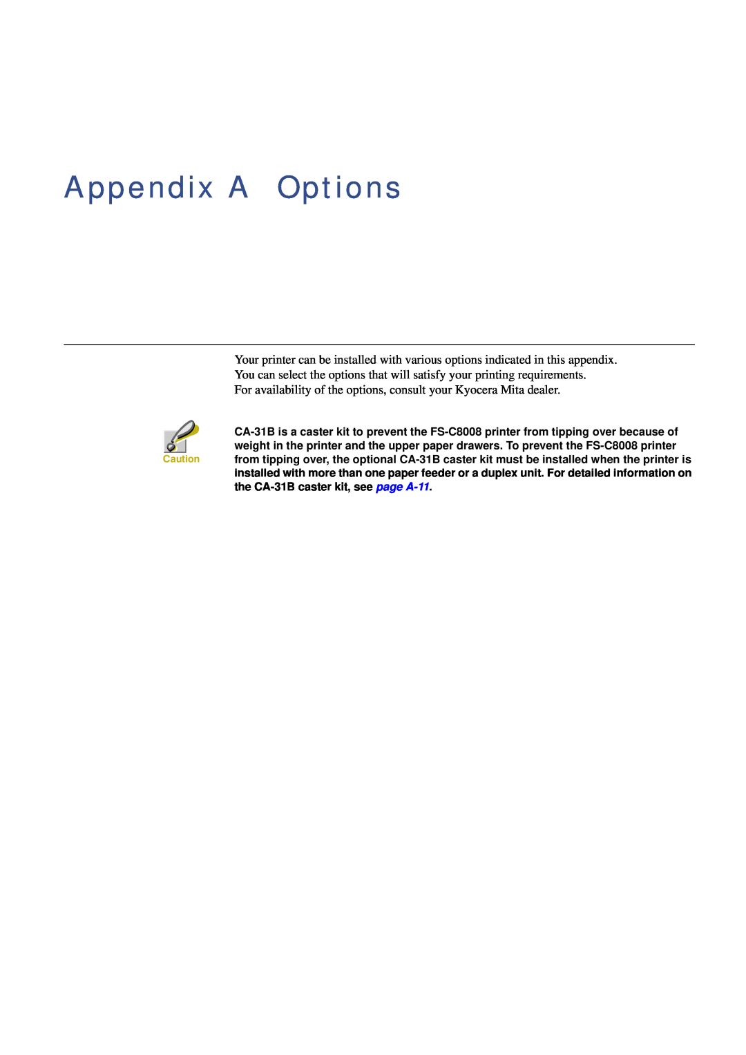 Xerox FS-C8008N, FS-C8008DN manual Appendix A Options 