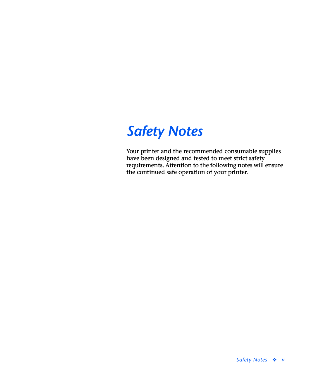 Xerox N2125 manual Safety Notes 
