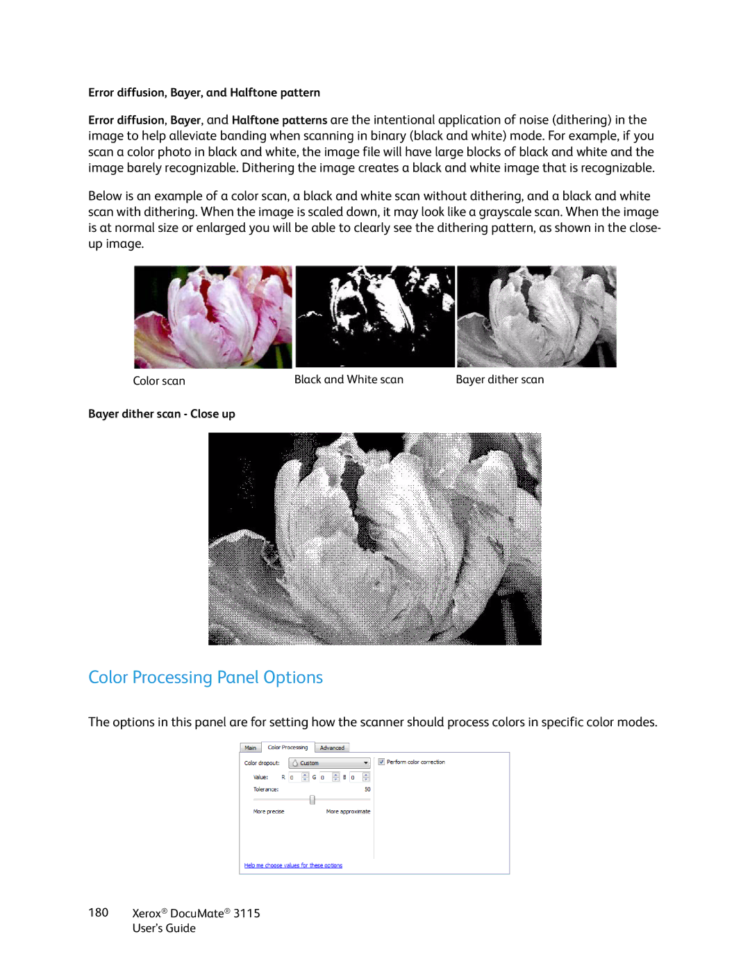 Xerox xerox documate 3115 manual Color Processing Panel Options, Error diffusion, Bayer, and Halftone pattern 