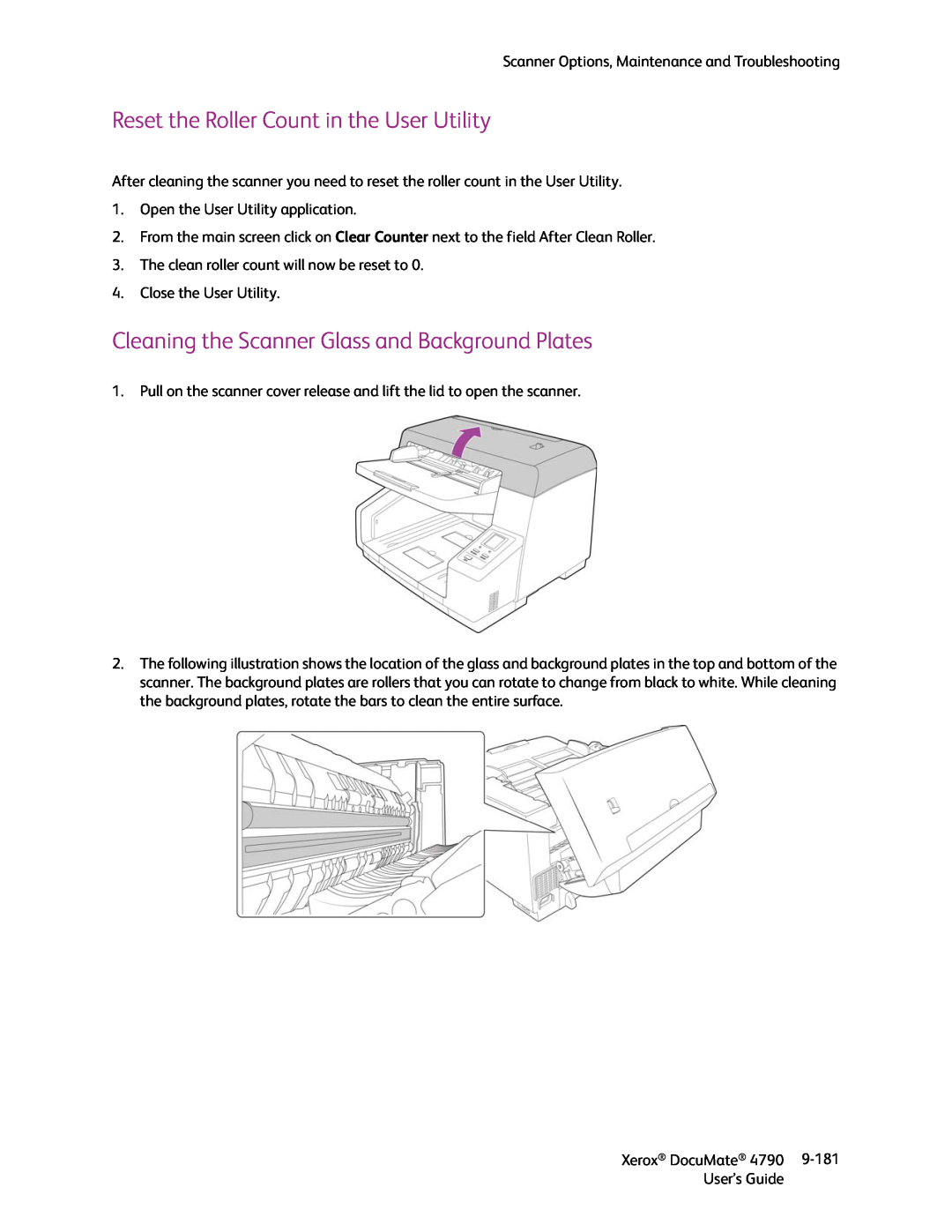 Xerox xerox documate manual Reset the Roller Count in the User Utility, Cleaning the Scanner Glass and Background Plates 
