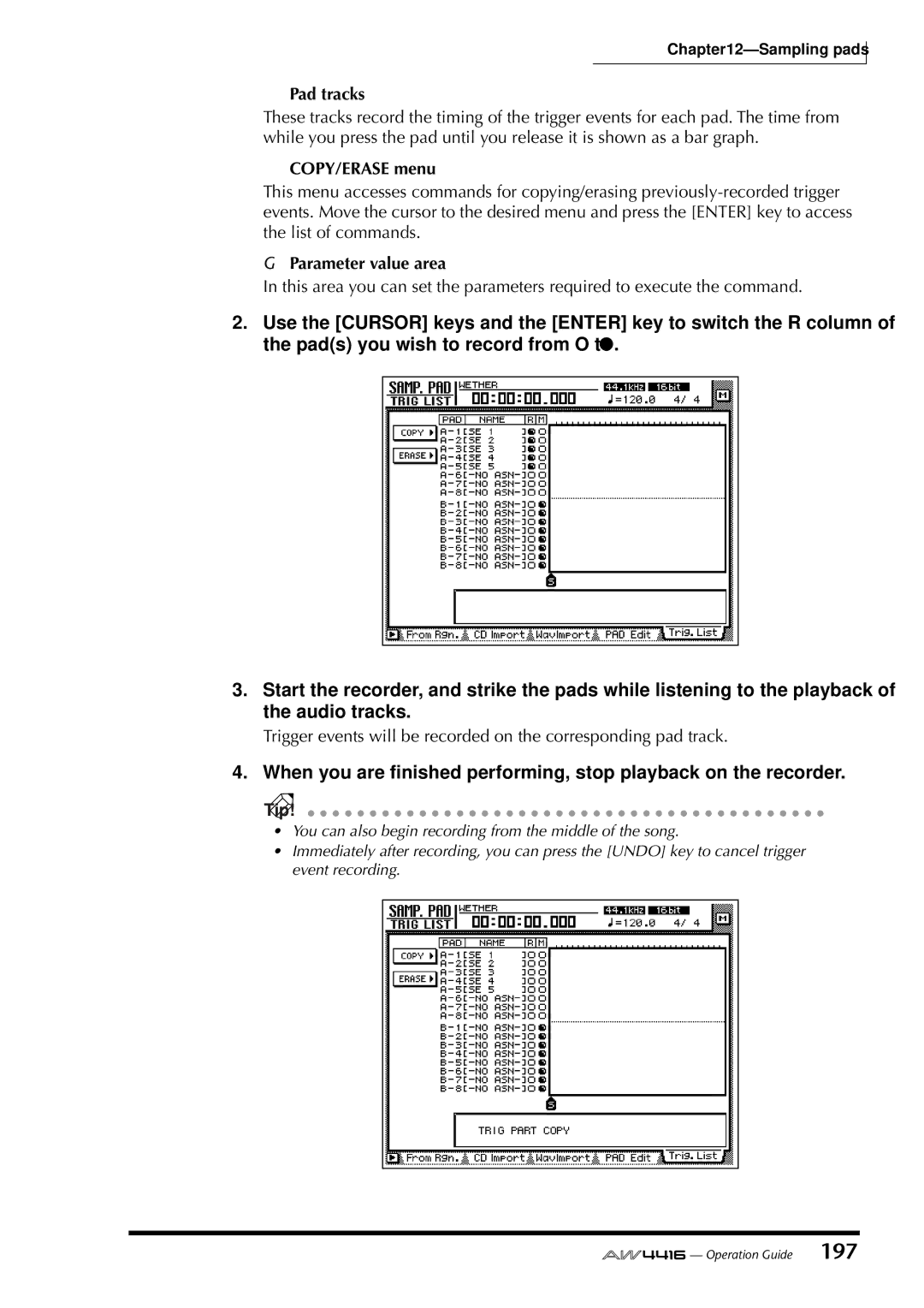 Yamaha AW4416 manual Pad tracks, COPY/ERASE menu, Parameter value area 