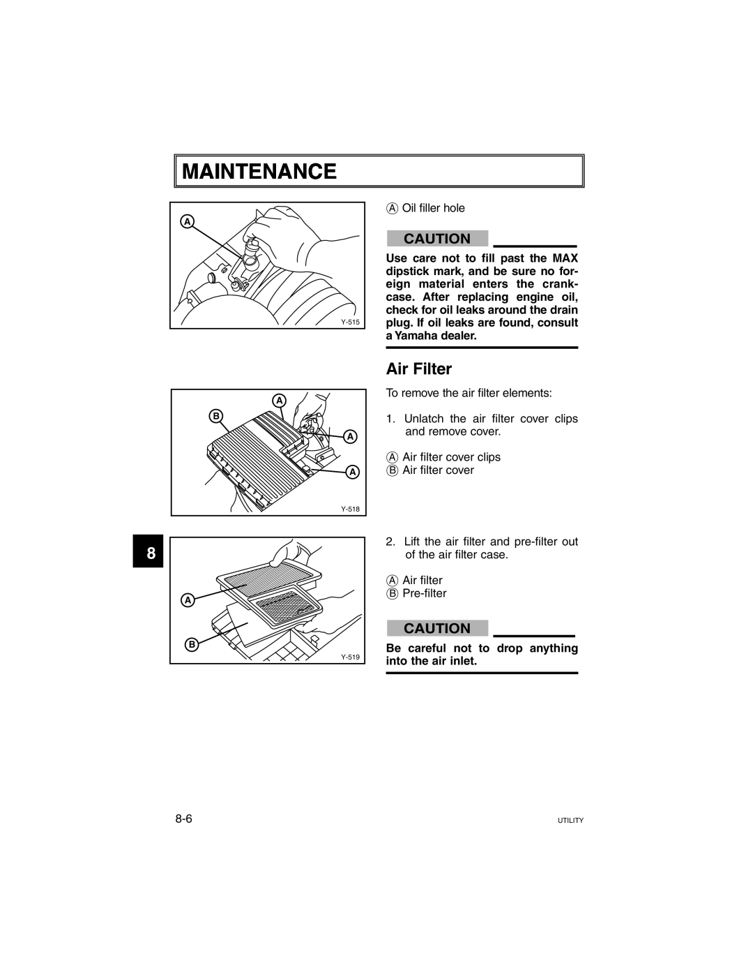Yamaha G21A manual Maintenance, Air Filter 