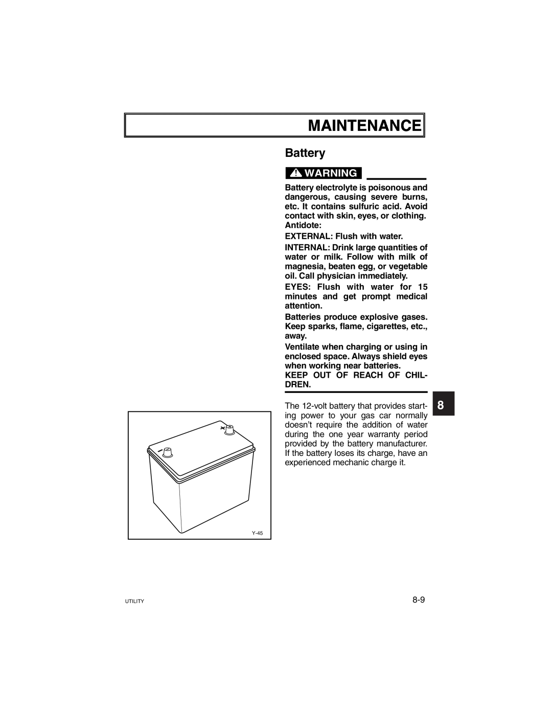 Yamaha G21A manual Maintenance, Battery 