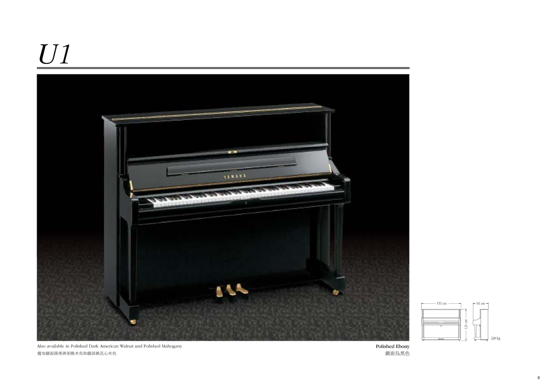 Yamaha Mark III Series manual Polished Ebony 