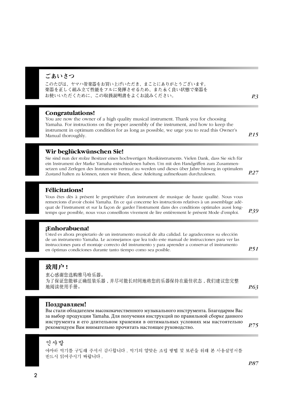 Yamaha Musical Instrument owner manual Поздравляем 