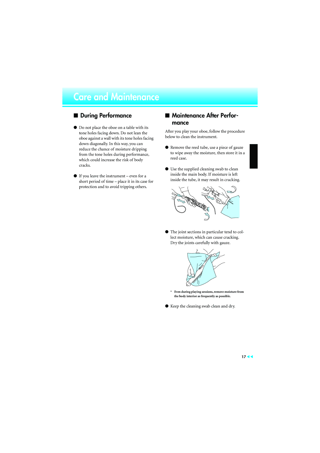 Yamaha None manual Care and Maintenance, During Performance 