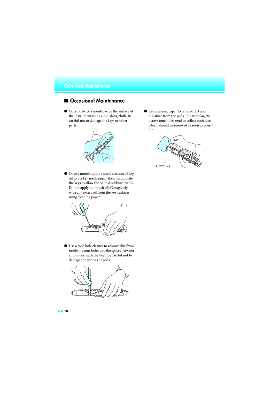 Yamaha None manual Occasional Maintenance 