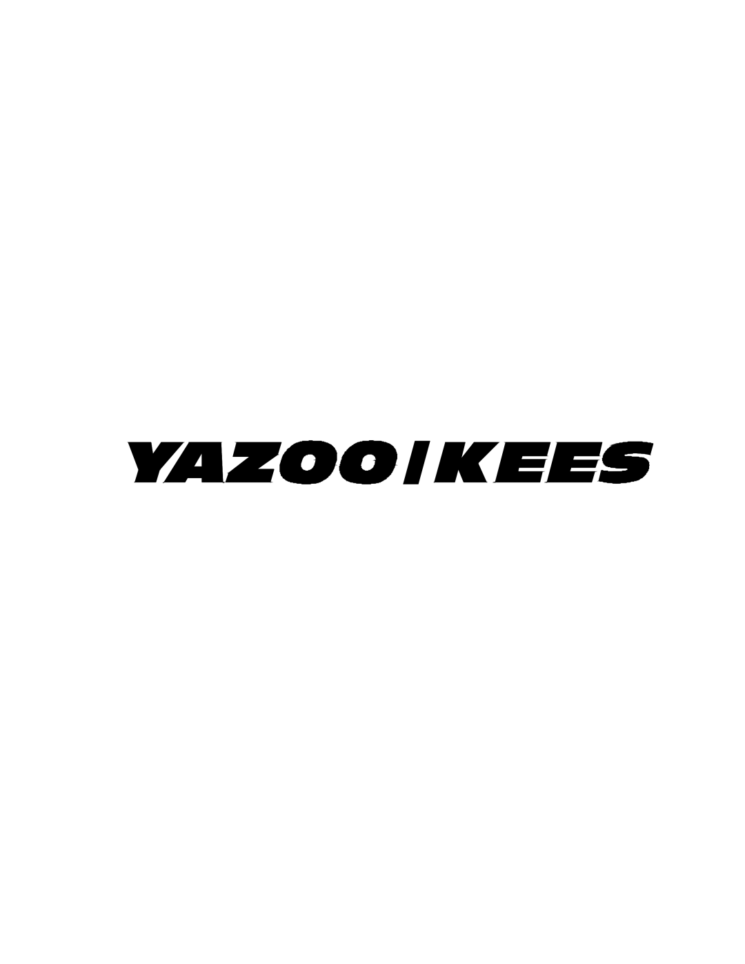 Yazoo/Kees KHKW36151, KHKW48171 important safety instructions 