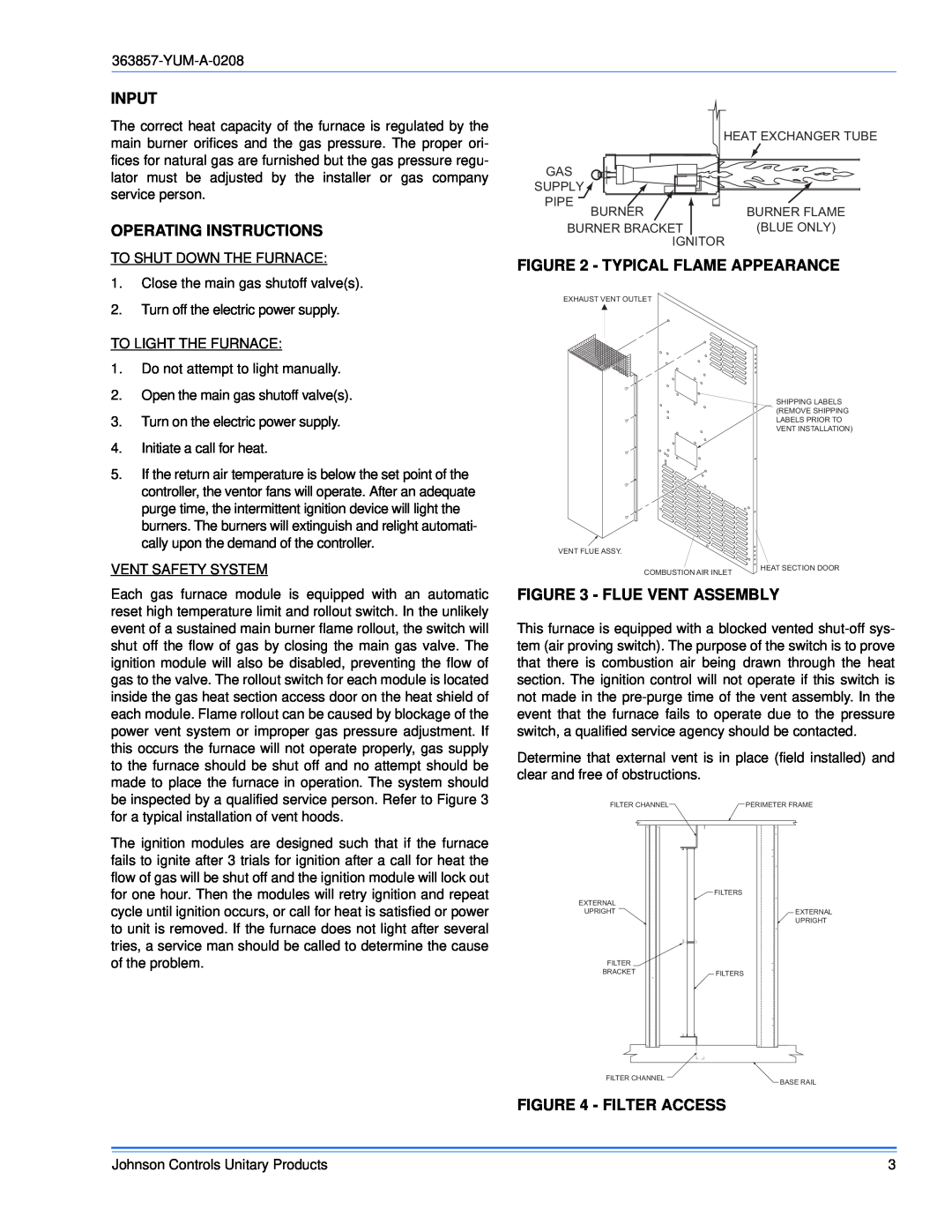 York 363857-YUM-A-0208 manual Input, Operating Instructions, Typical Flame Appearance, Flue Vent Assembly, Filter Access 