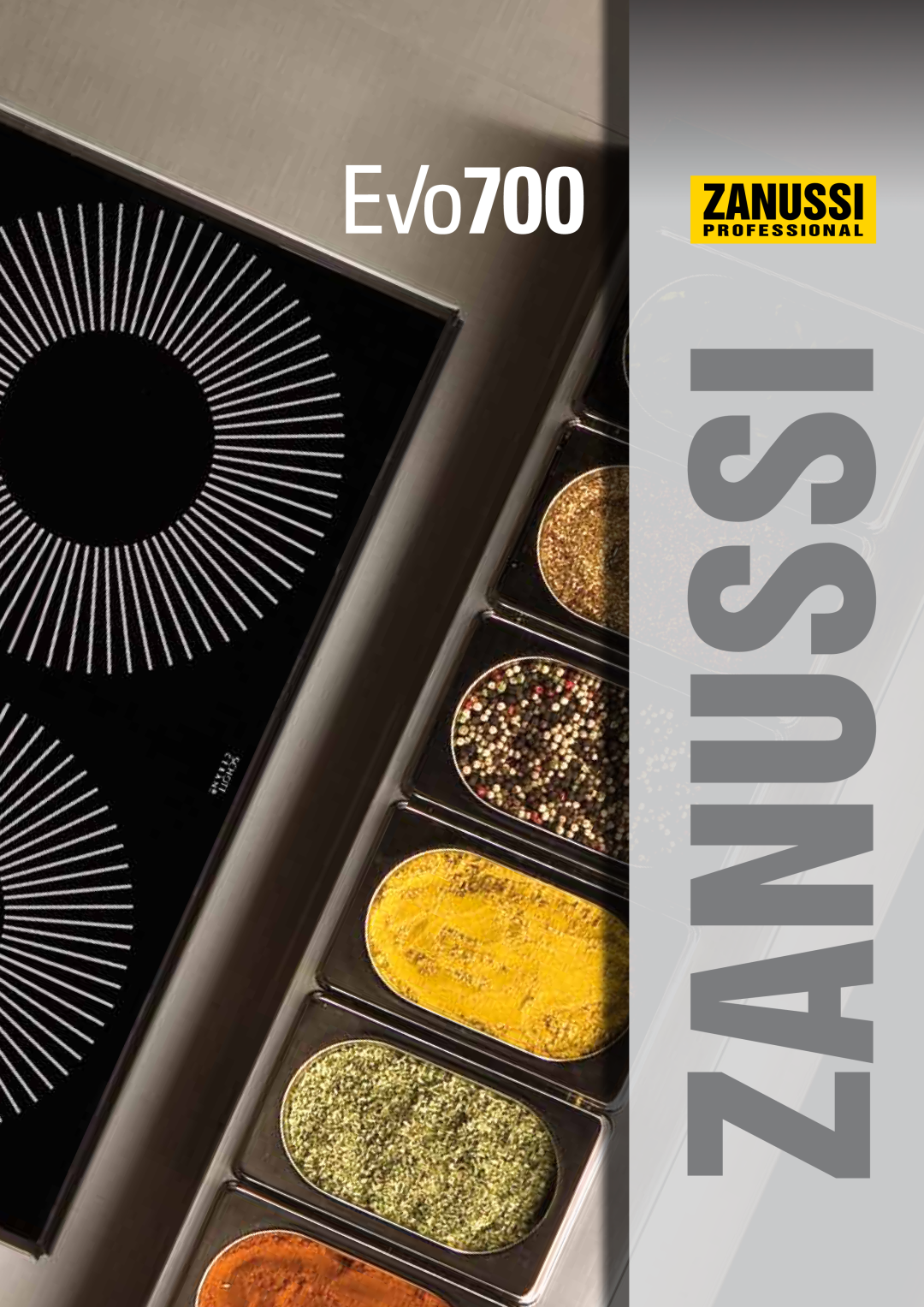Zanussi EVO700 dimensions Range Composition, Functional And Construction Features 