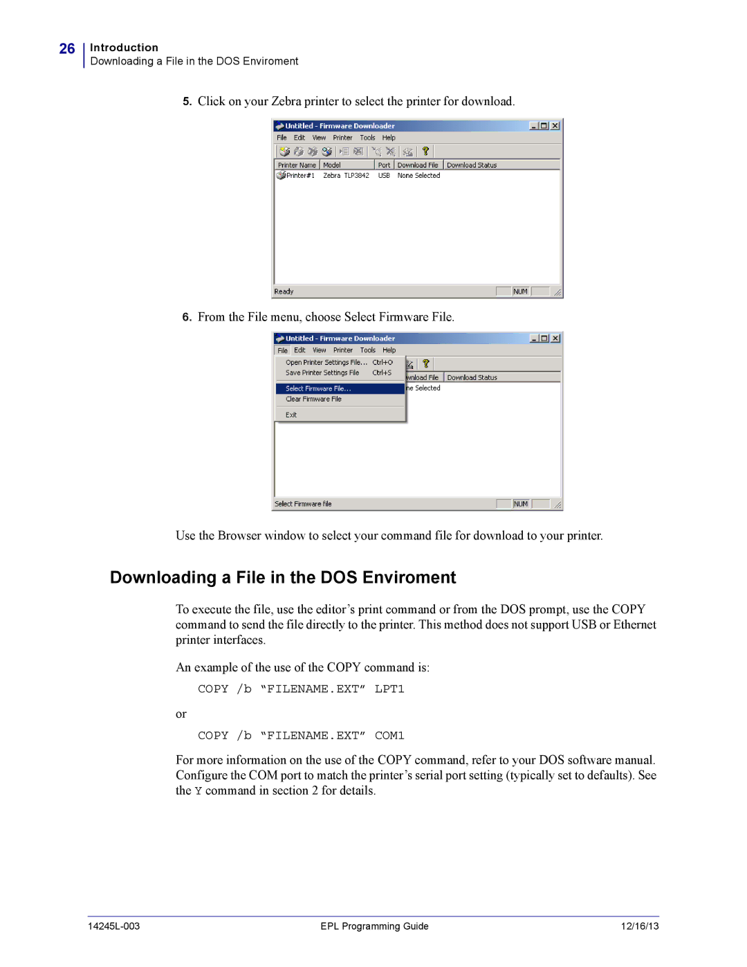 Zebra Technologies 14245L-003 manual Downloading a File in the DOS Enviroment 