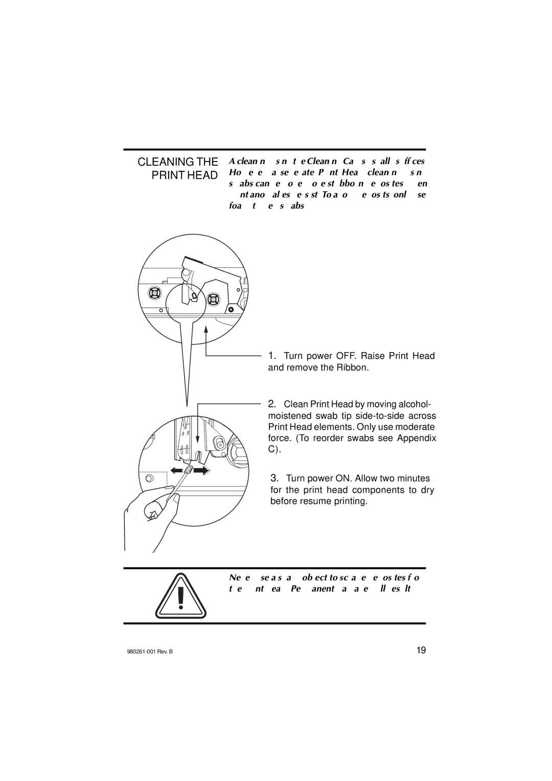 Zebra Technologies P310C, P310F user manual Cleaning the Print Head 