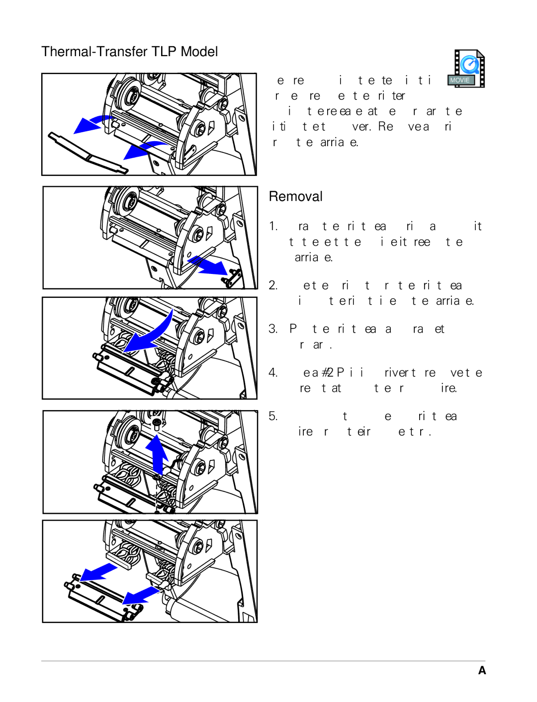 Zebra Technologies TLP 2824 manual Thermal-Transfer TLP Model, Removal 