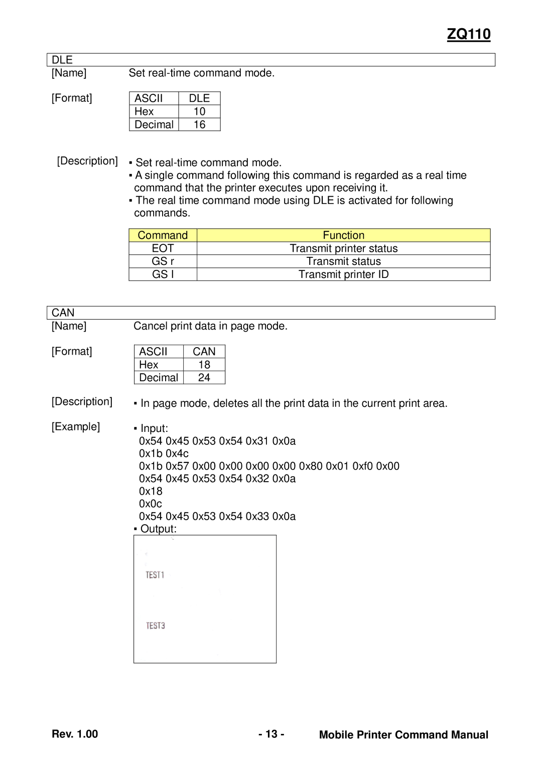 Zebra Technologies ZQ110 manual Dle, Ascii DLE, Ascii Can 