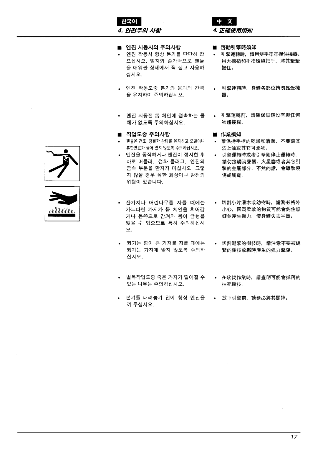 Zenoah G4100 manual 