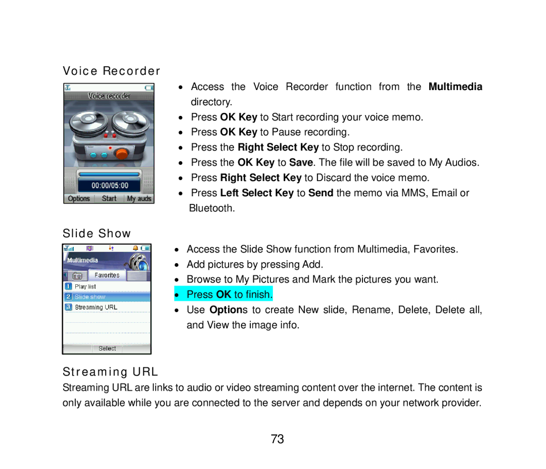 ZTE F858 user manual Voice Recorder, Slide Show, Streaming URL 