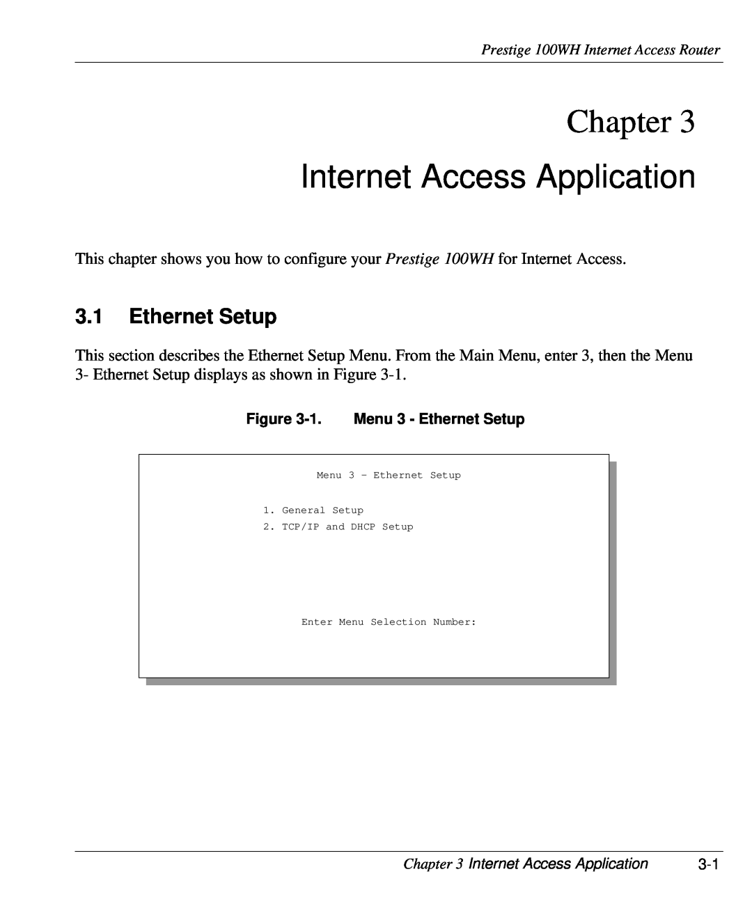 ZyXEL Communications 100WH user manual Internet Access Application, Ethernet Setup, Chapter 