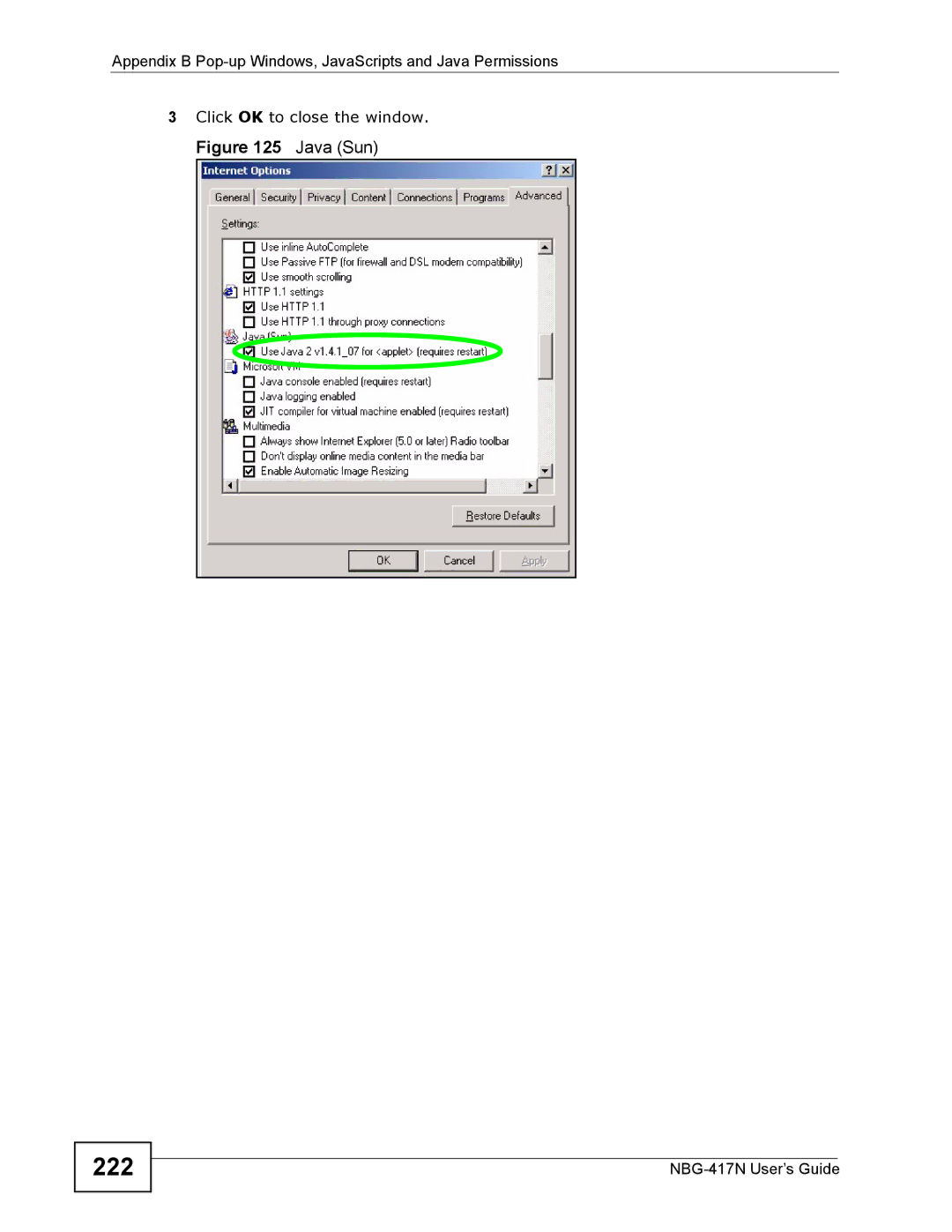 ZyXEL Communications NBG-417N manual 222, Java Sun 